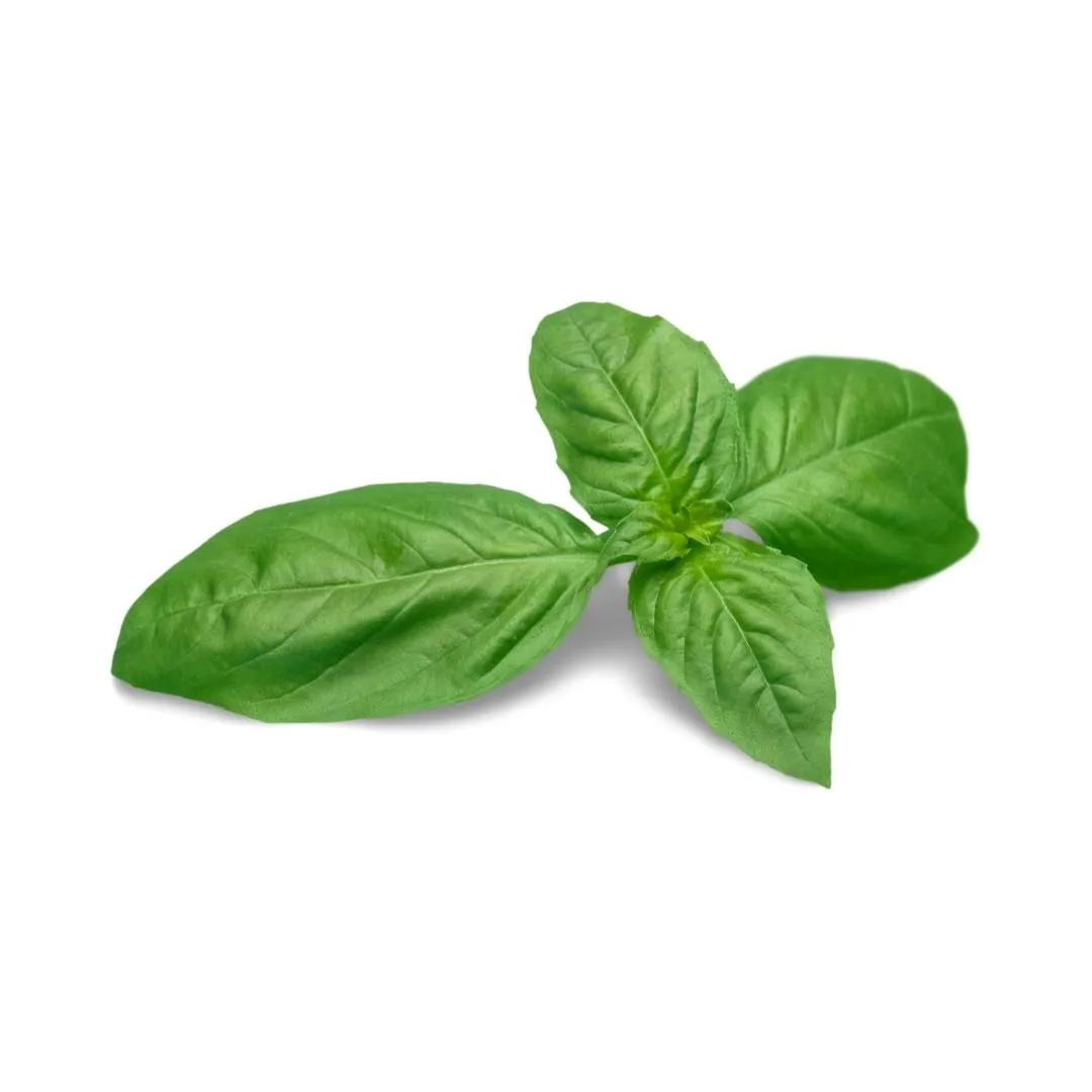 Certified Organic Basil (Each)